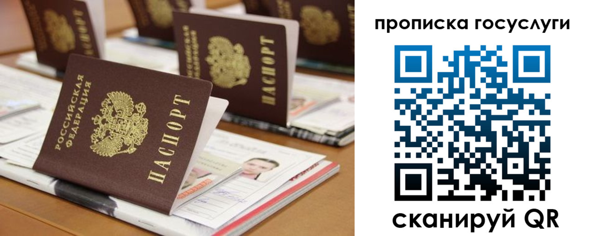 регистрация для дет. сада в Стародубе